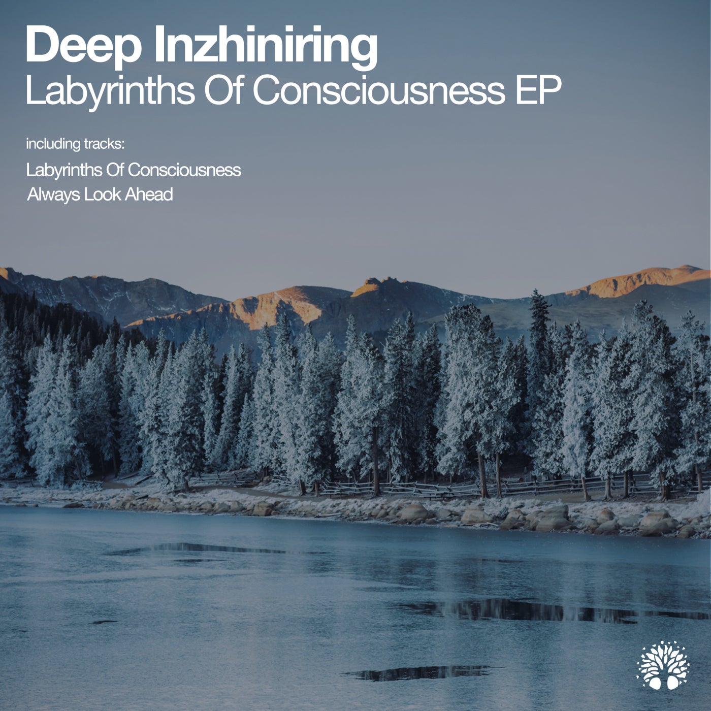 Labyrinths of Consciousness