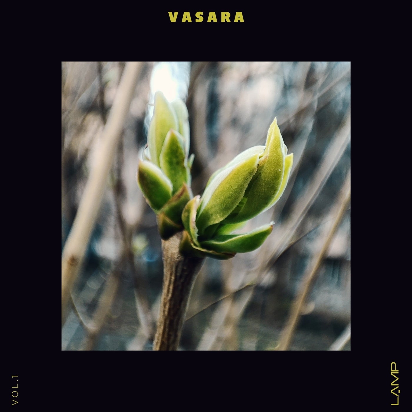 Vasara, Vol. 1