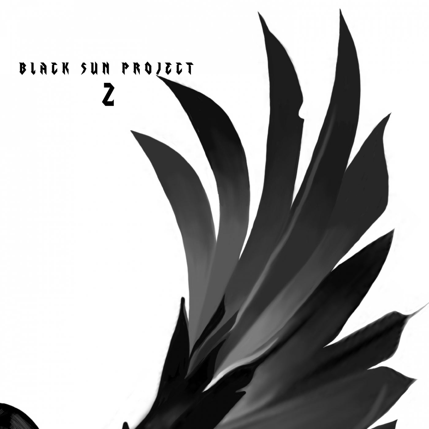 Black Sun Project 2