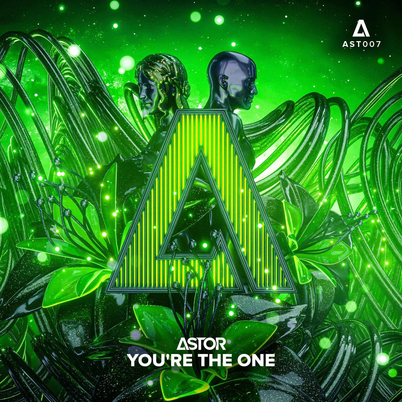 You're The One (Extended Mix)