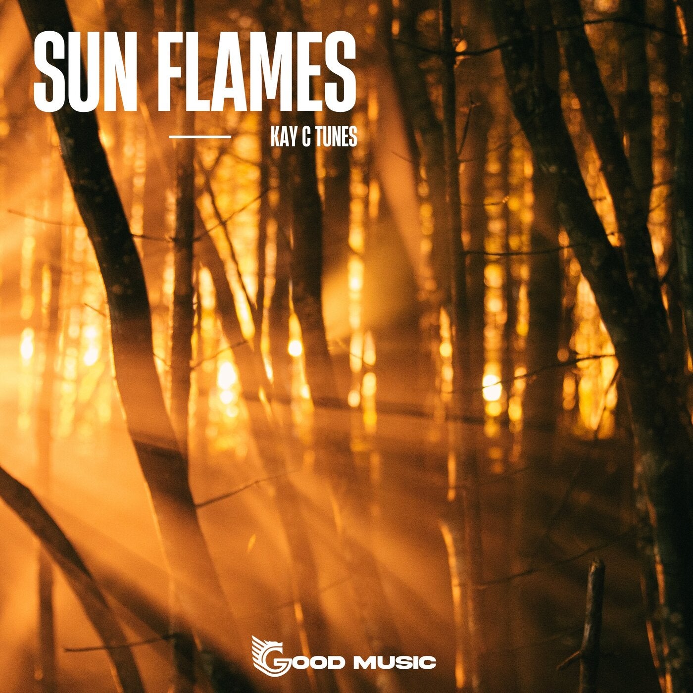Sun Flames