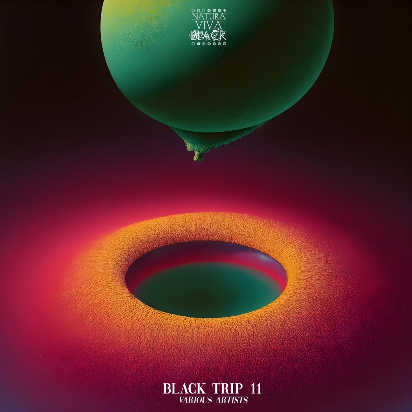 Cover art for Black Trip 11