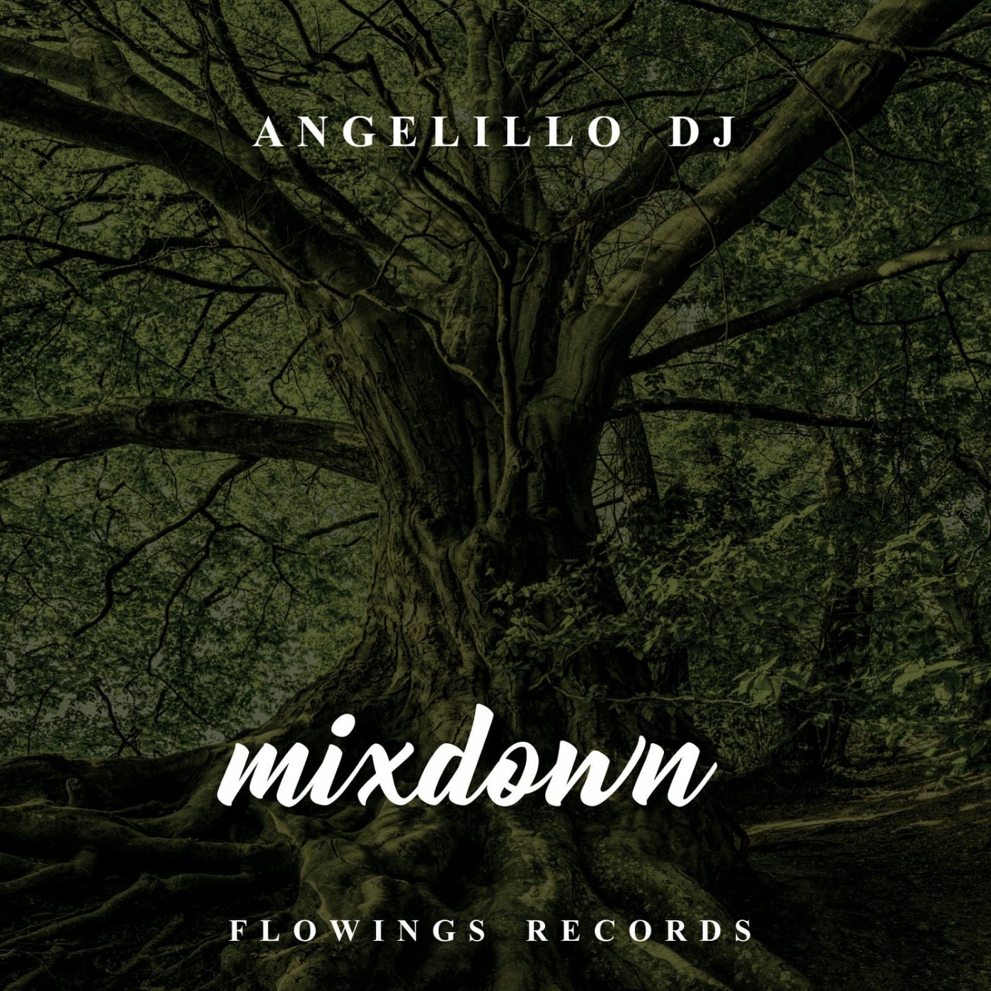 Mixdown