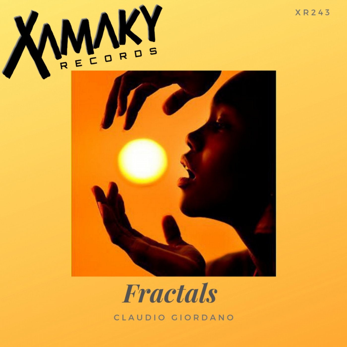 Fractals