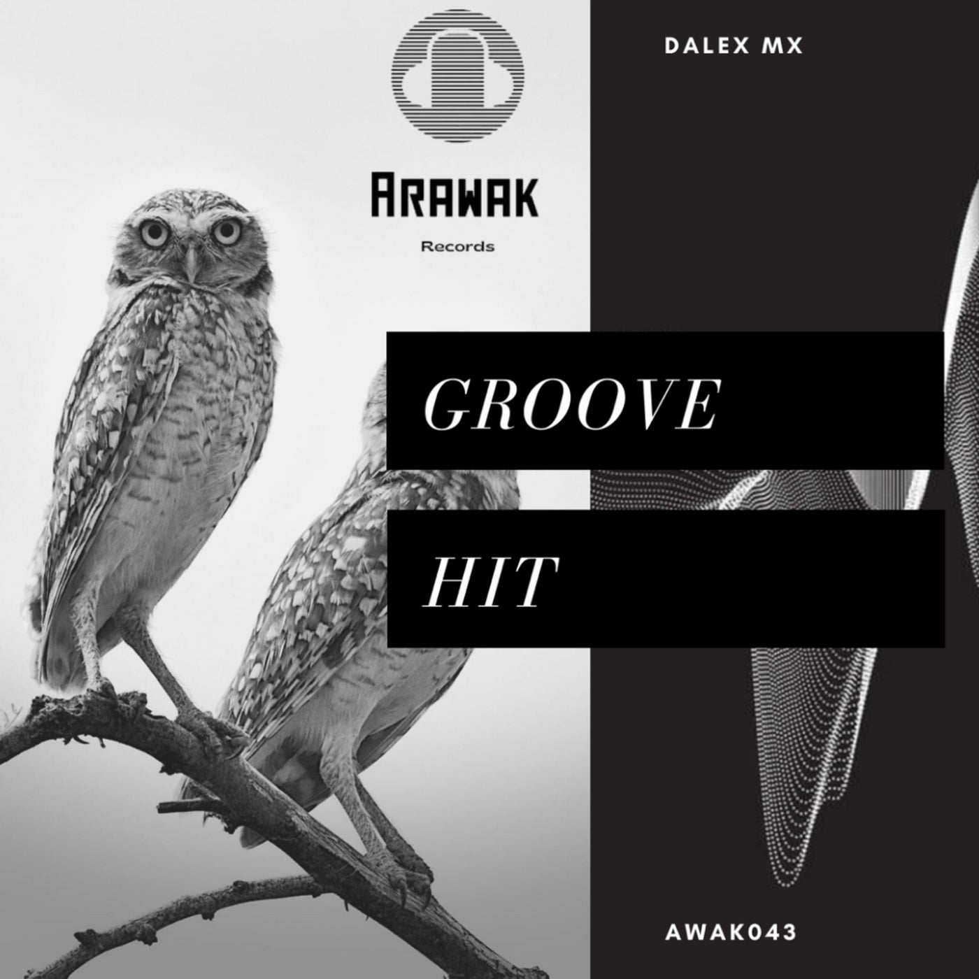 Groove Hit