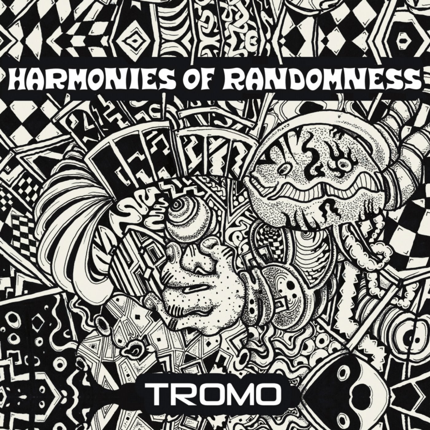 Harmonies Of Randomness
