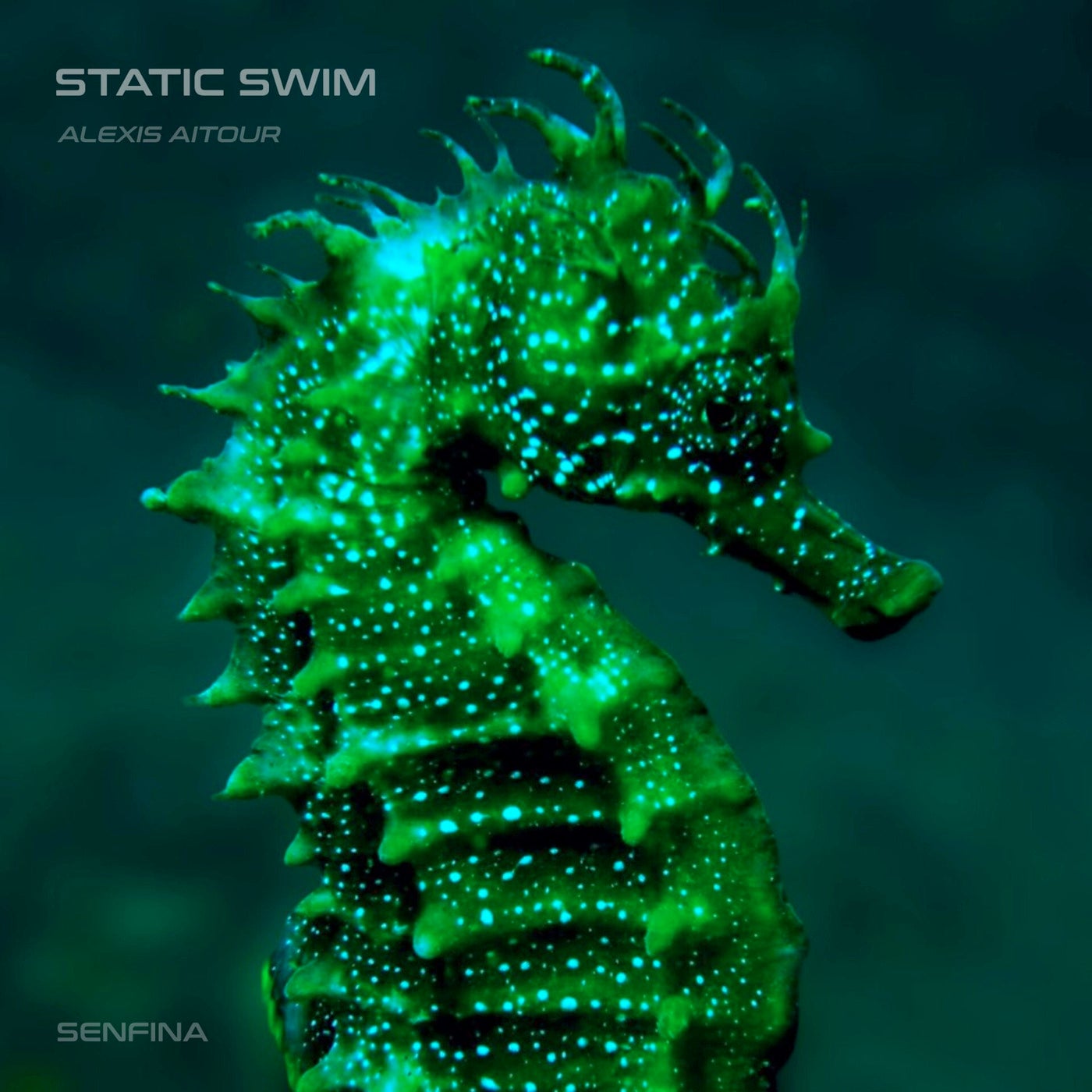 Static Swim
