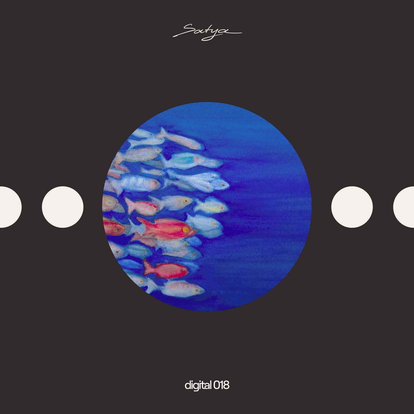 Cover art for Late Night Shopping