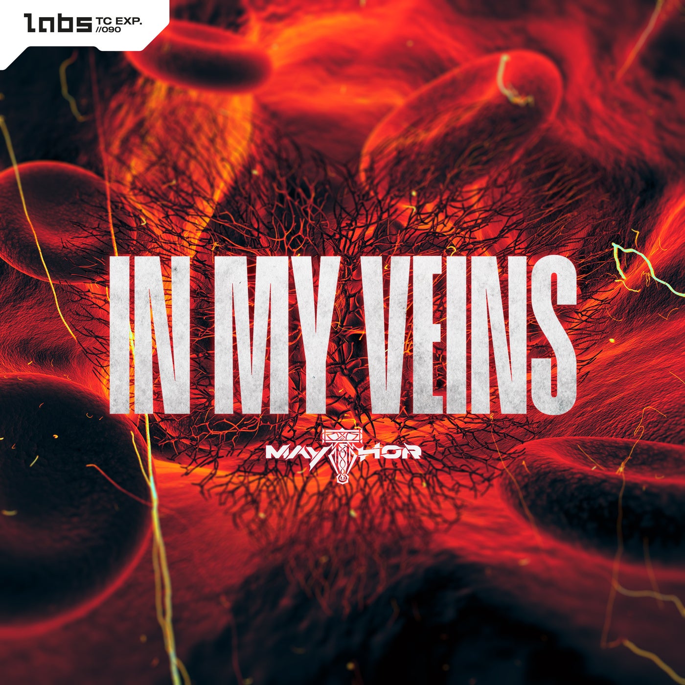 IN MY VEINS - Pro Mix