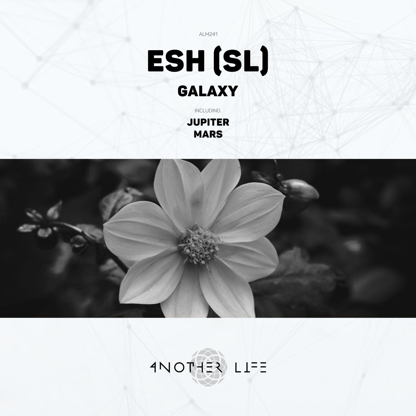Another Life Music Music & Downloads on Beatport