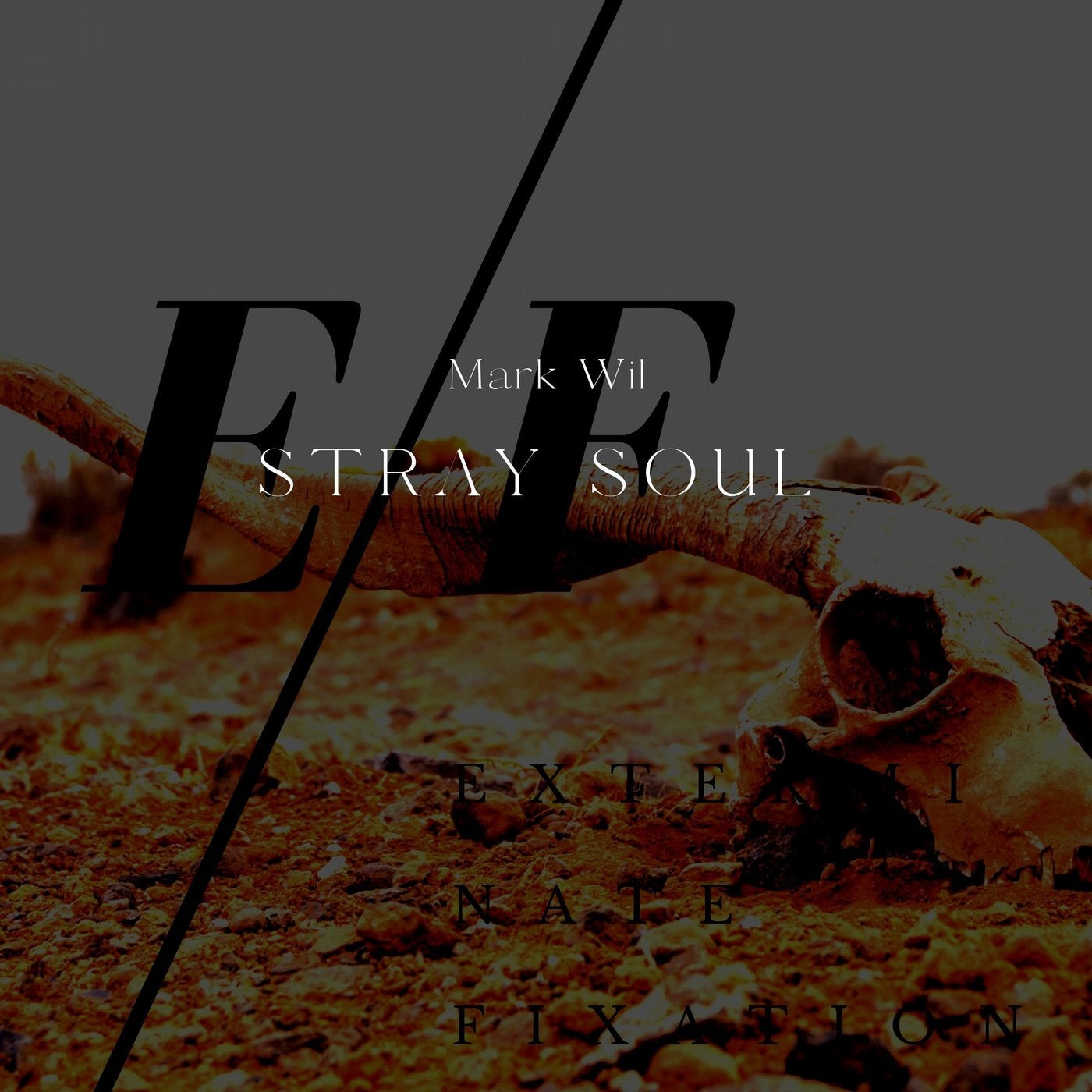 Stray Soul