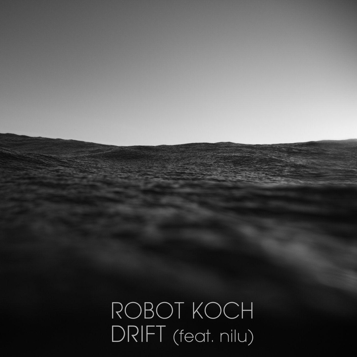 Drift (feat. nilu)