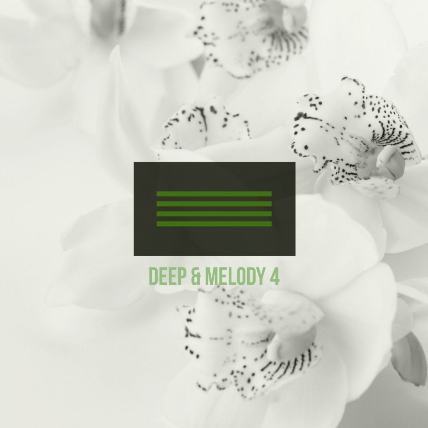 Deep & Melody 4