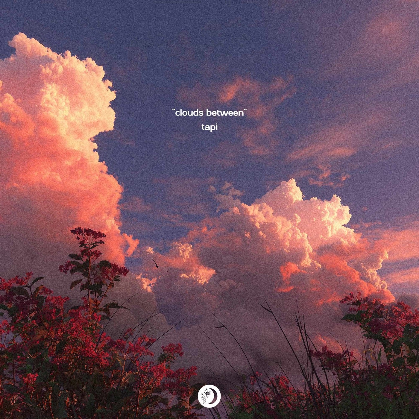 Clouds Between