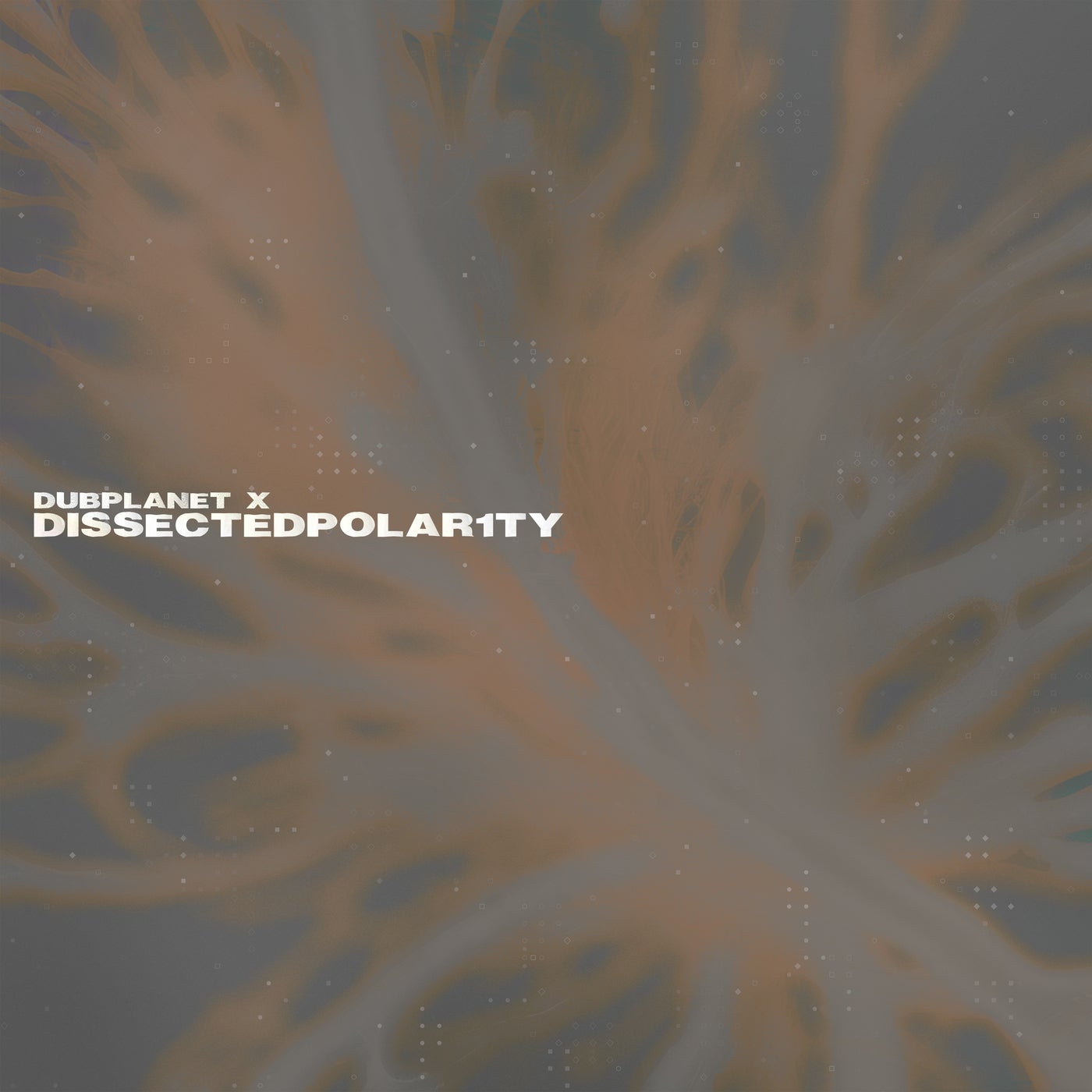 Dissected Polar1ty
