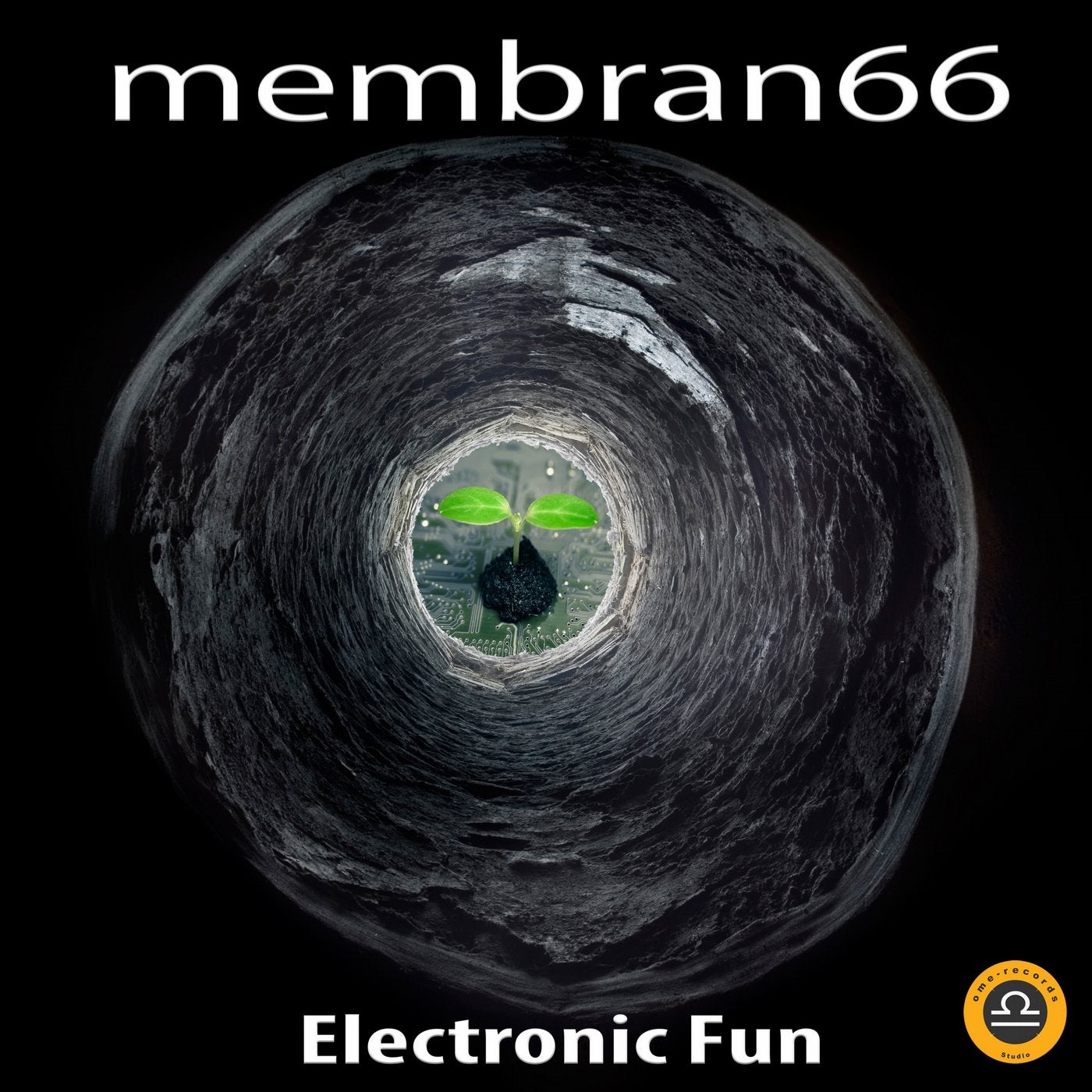 Electronic-Fun