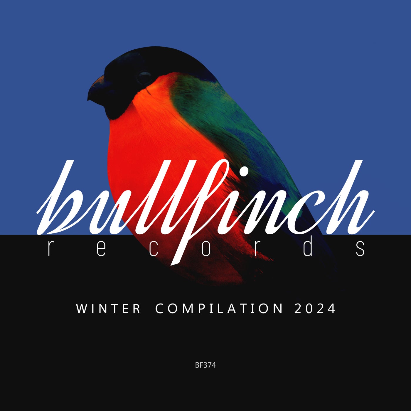 VA Bullfinch Winter 2024 Compilation BF374 deeptech.house