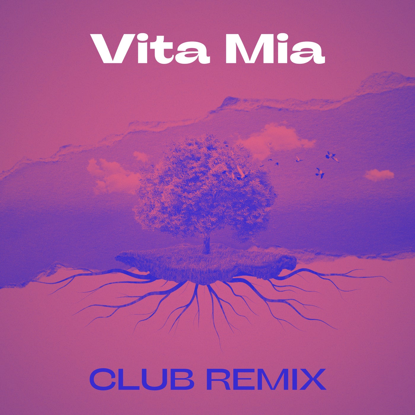 Vita Mia - RM Club Remix