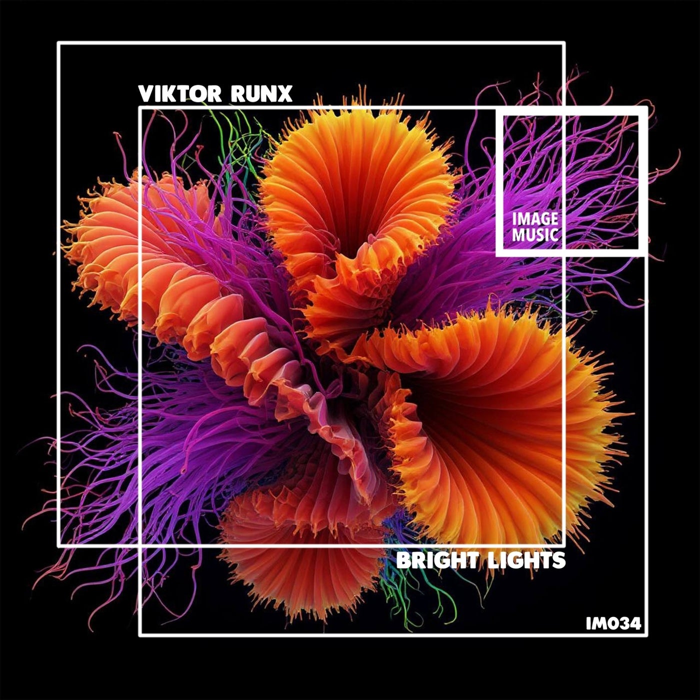 Bright Lights