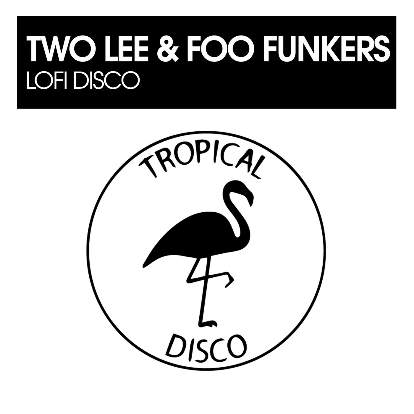 Lofi Disco