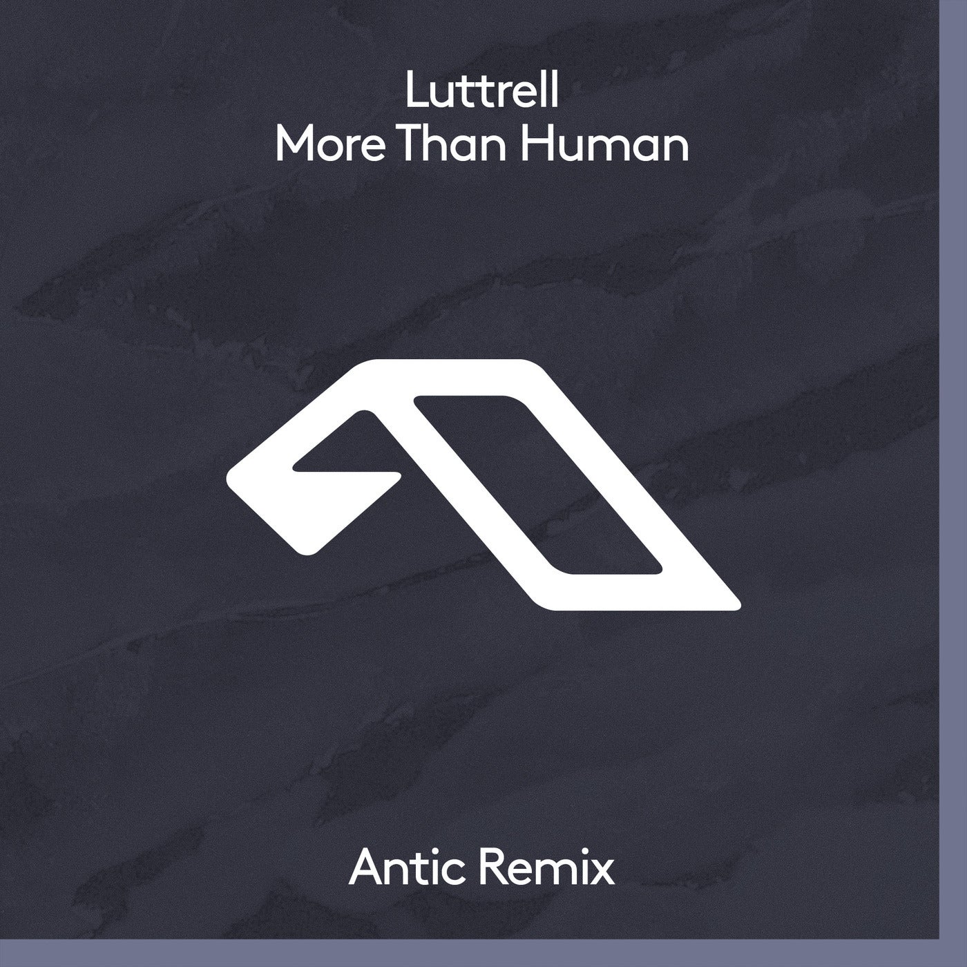 More Than Human (Antic Remix)