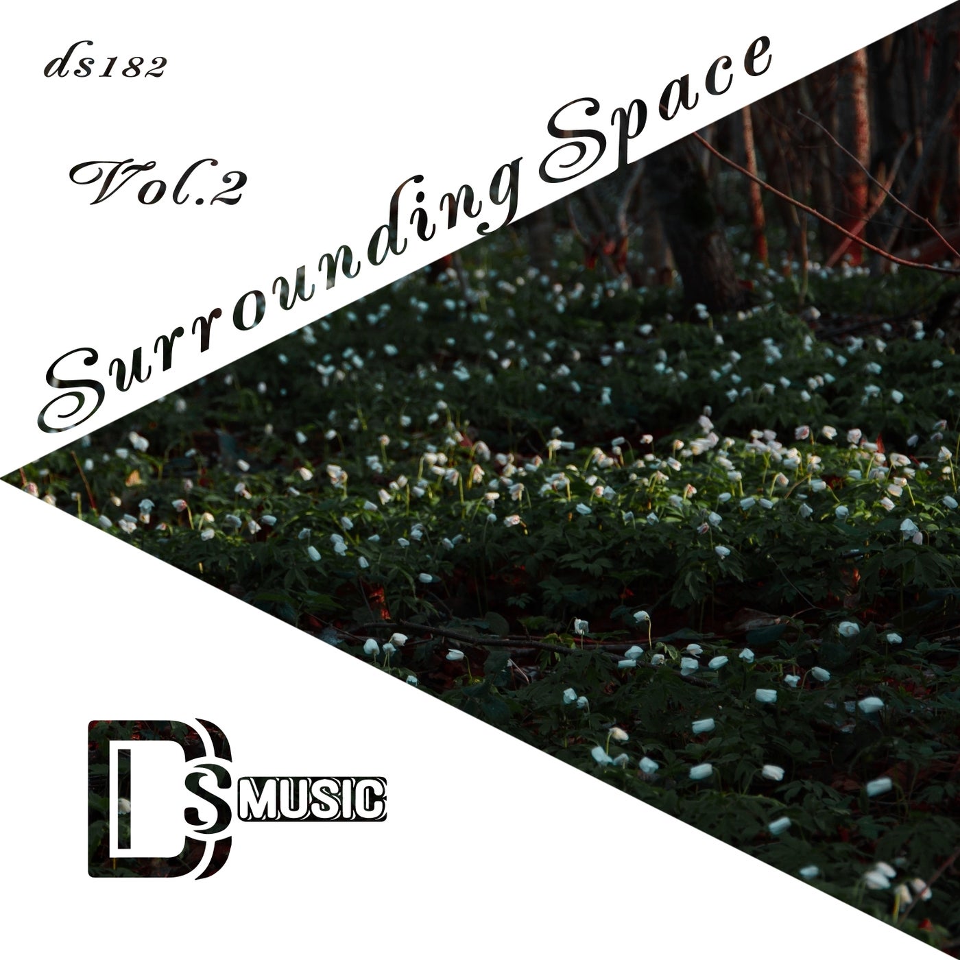 Surrounding Space, Vol. 2
