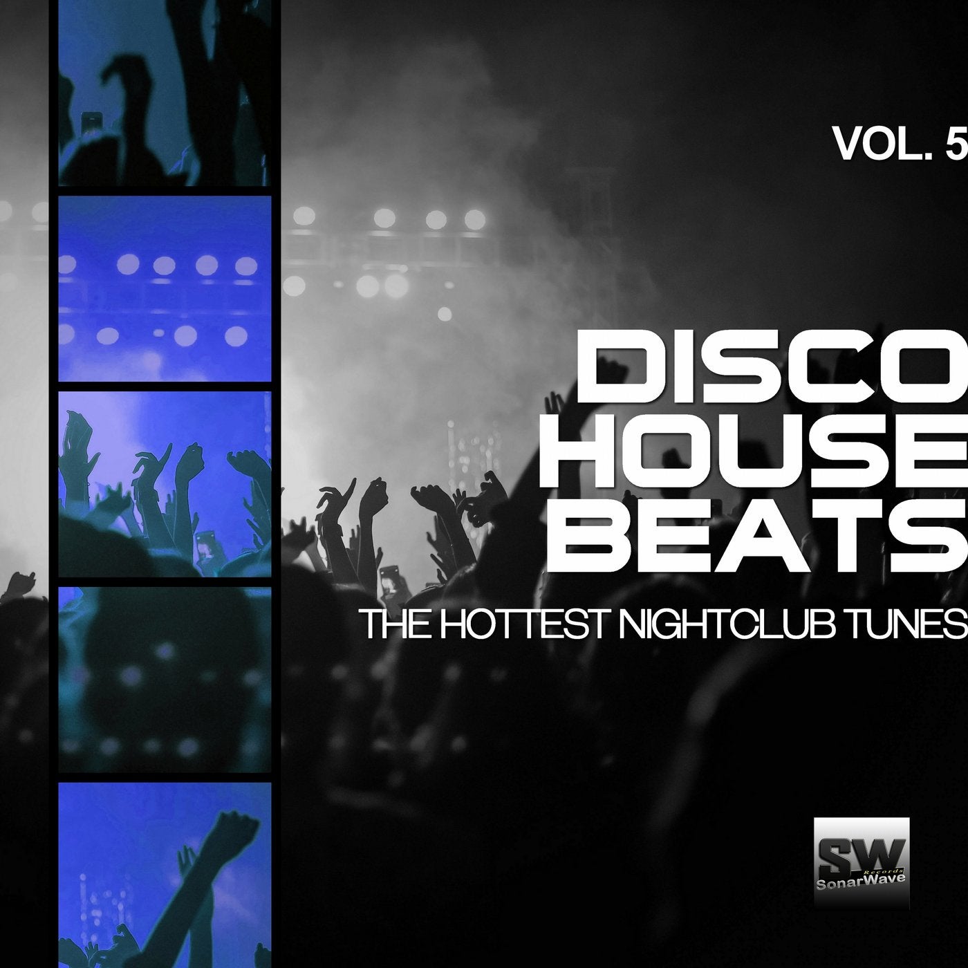 Disco House Beats, Vol. 5 (The Hottest Nightclub Tunes)