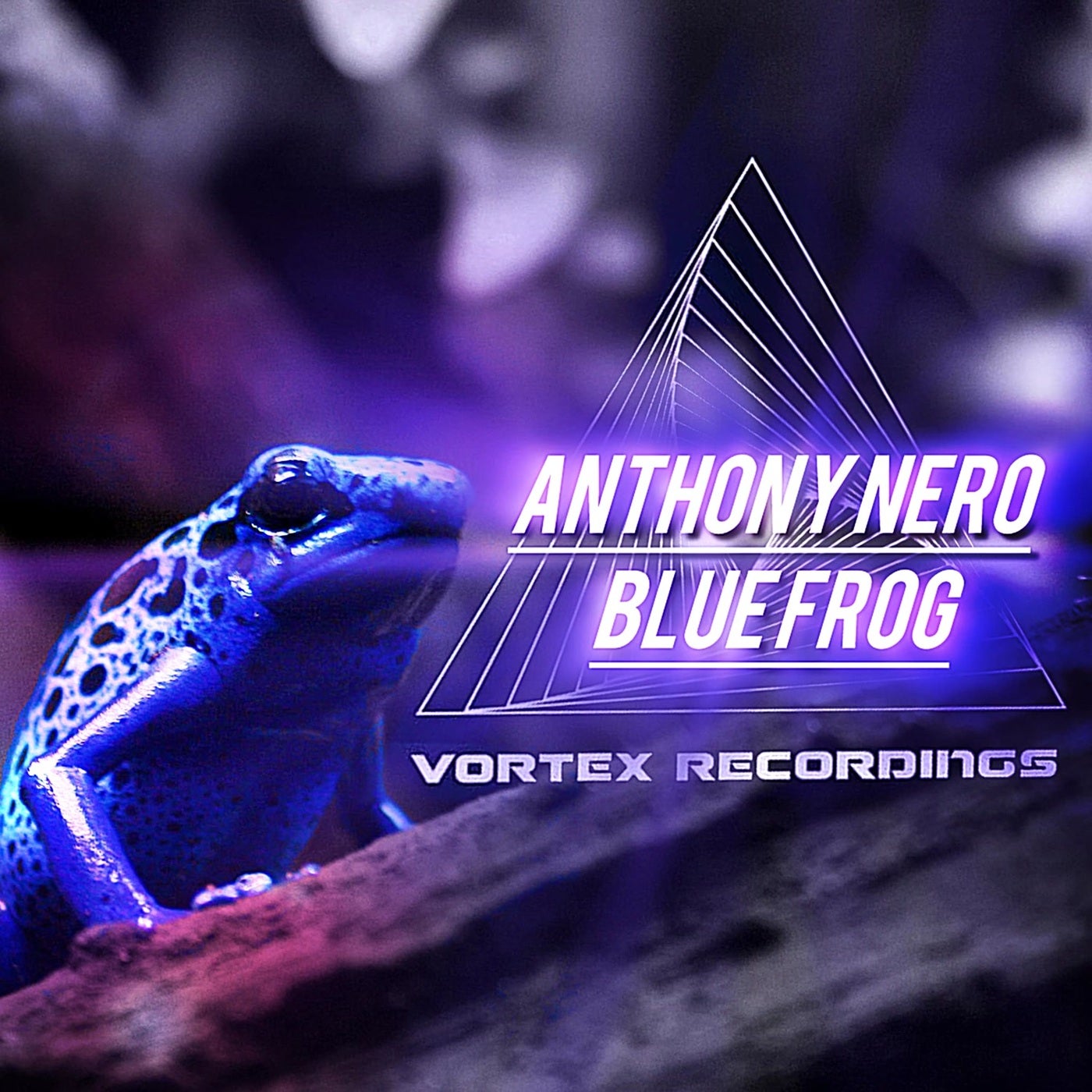 Blue Frog