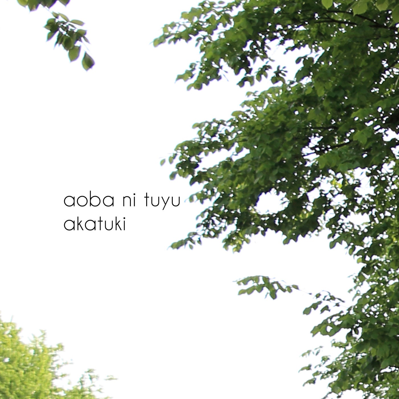 Aoba Ni Tuyu