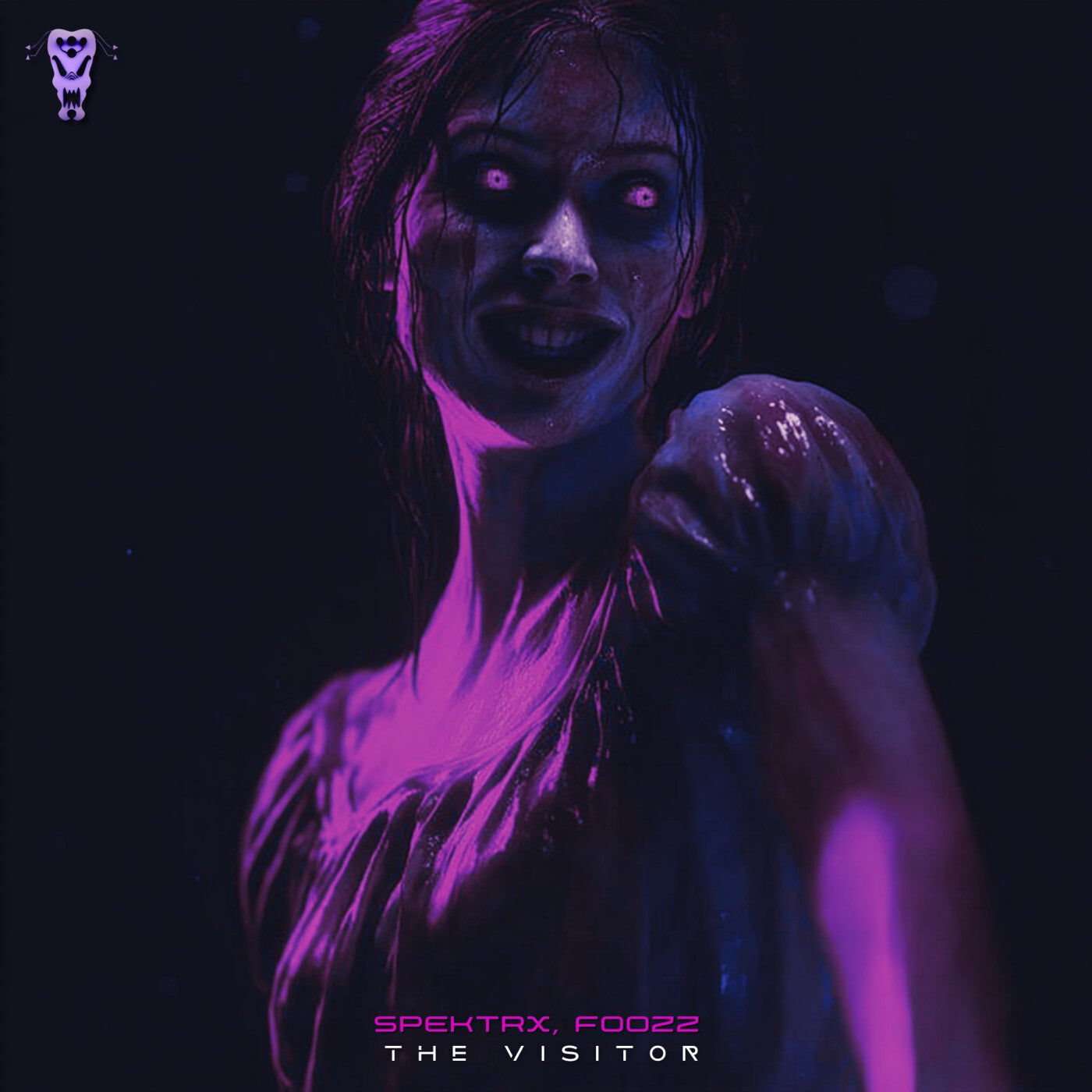 The Visitor