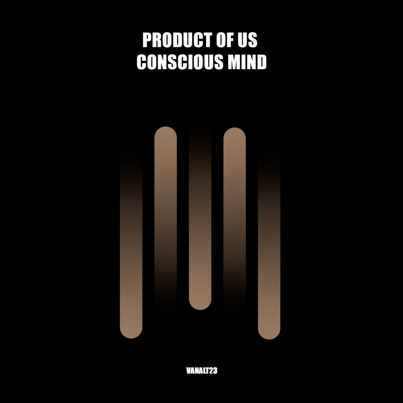 Conscious Mind