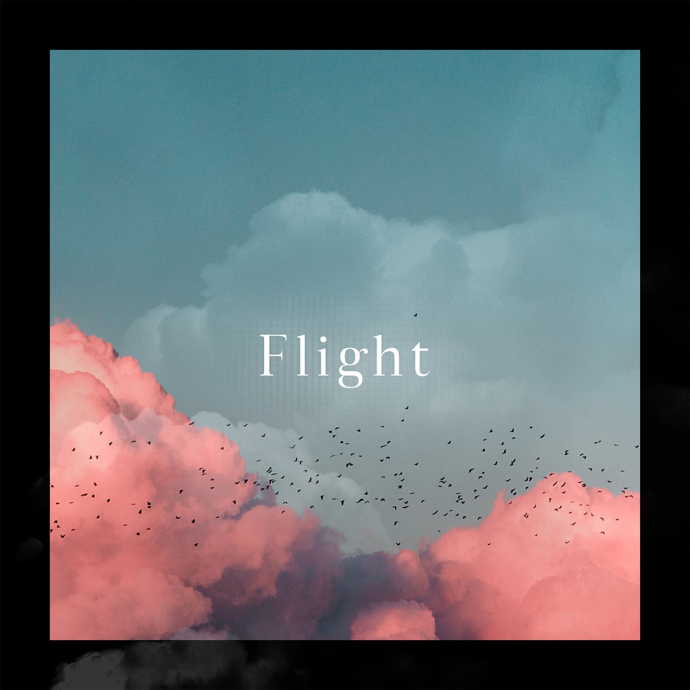 Flight