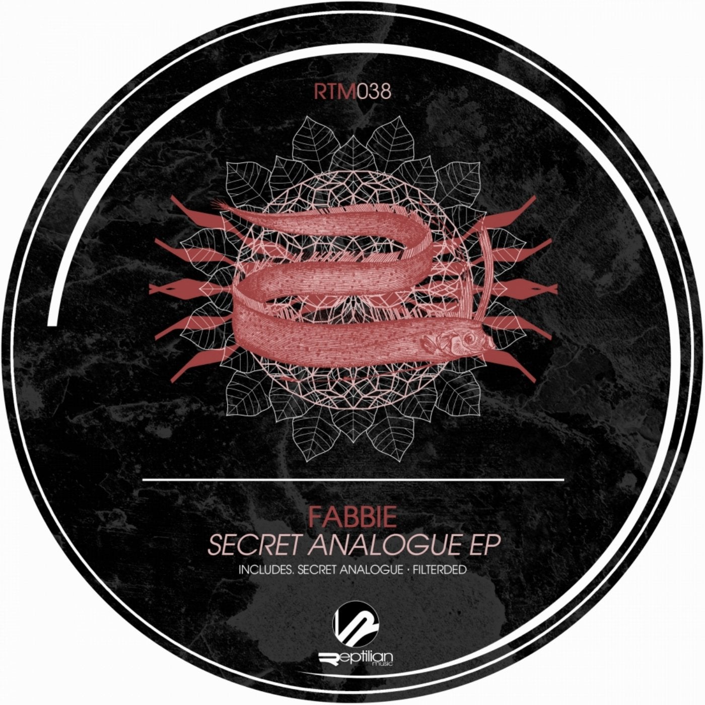 Secret Analogue EP