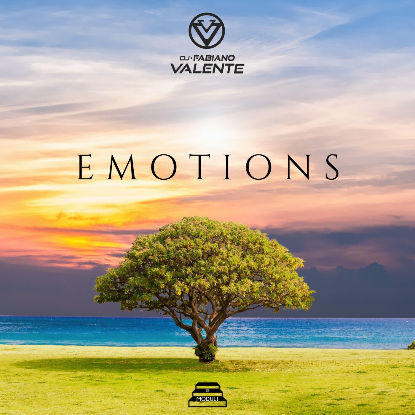 Emotions