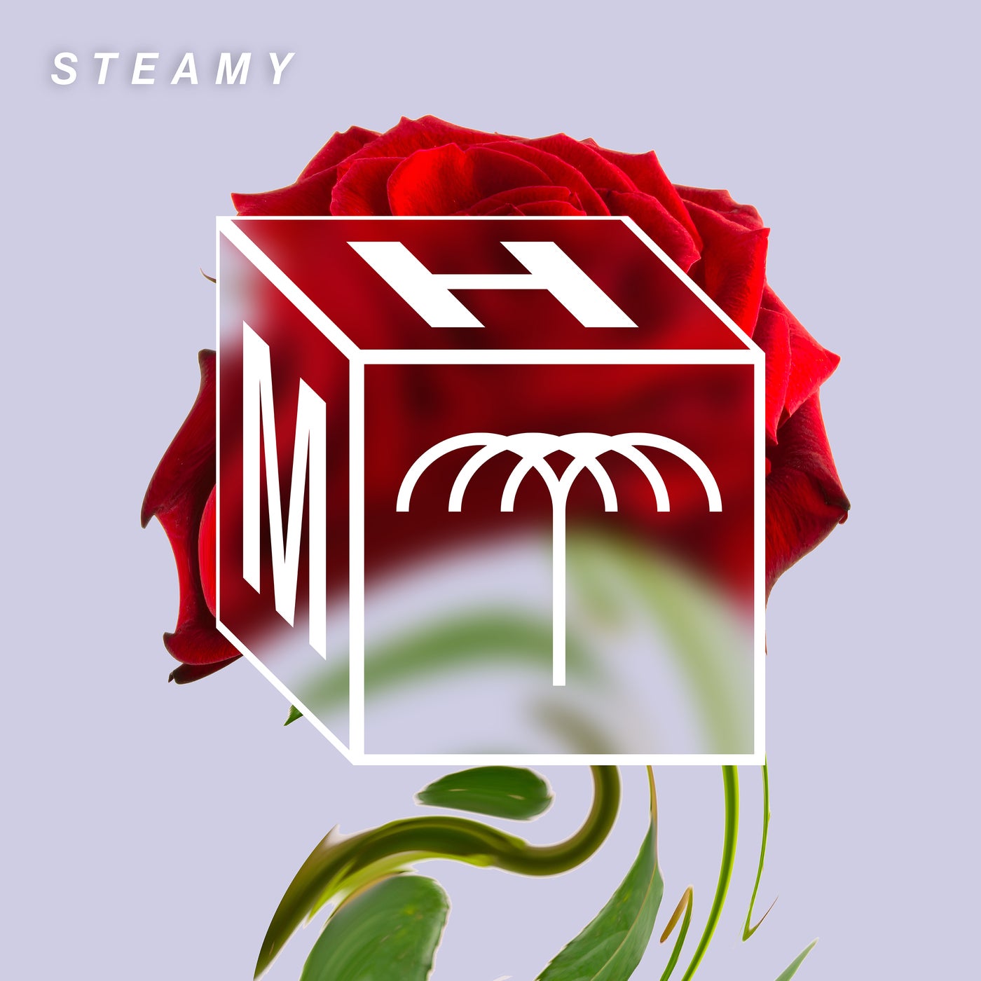 Steamy