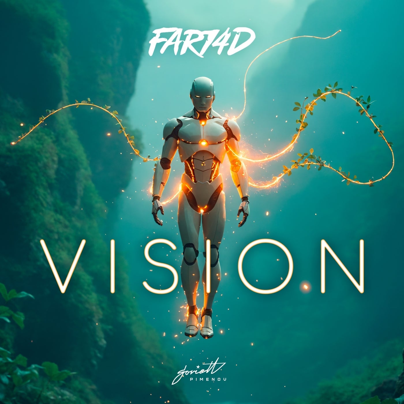 Vision