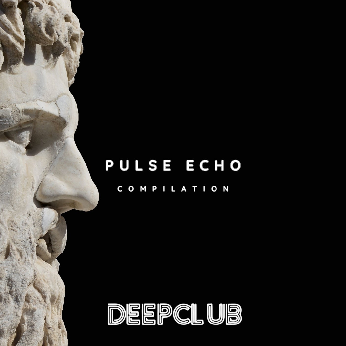 Pulse Echo