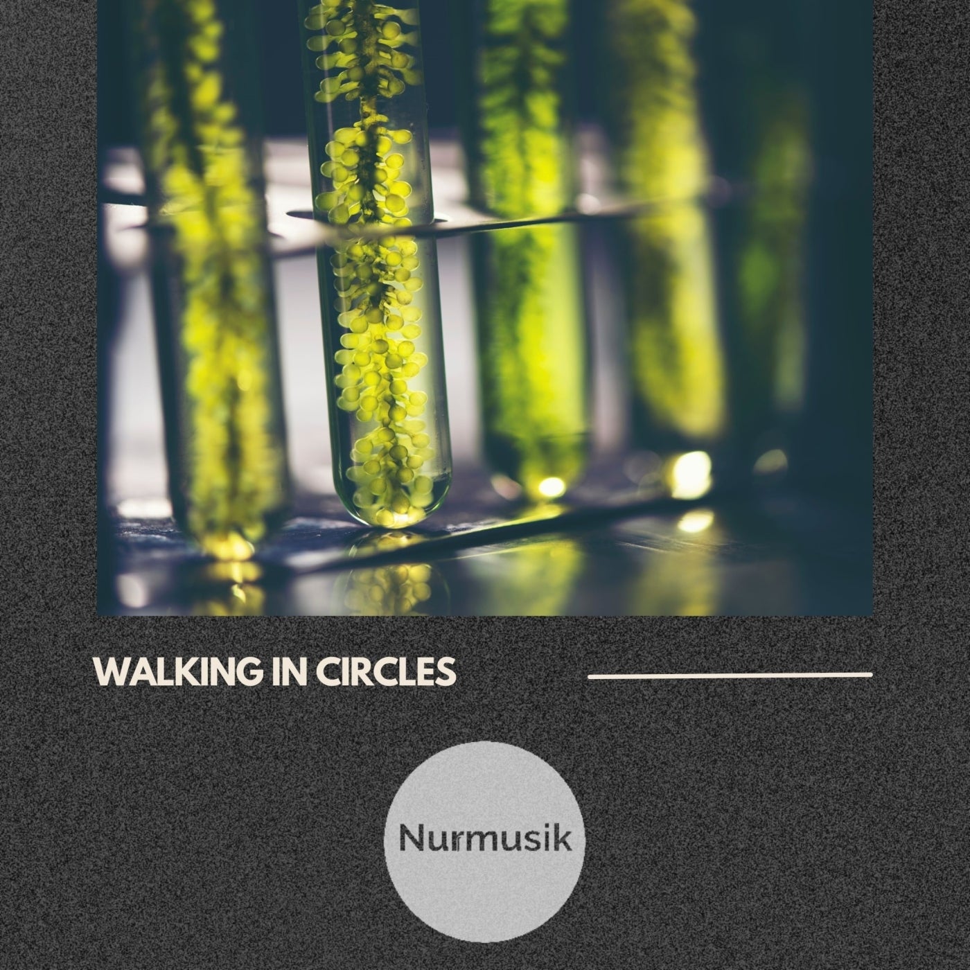 Walking in Circles