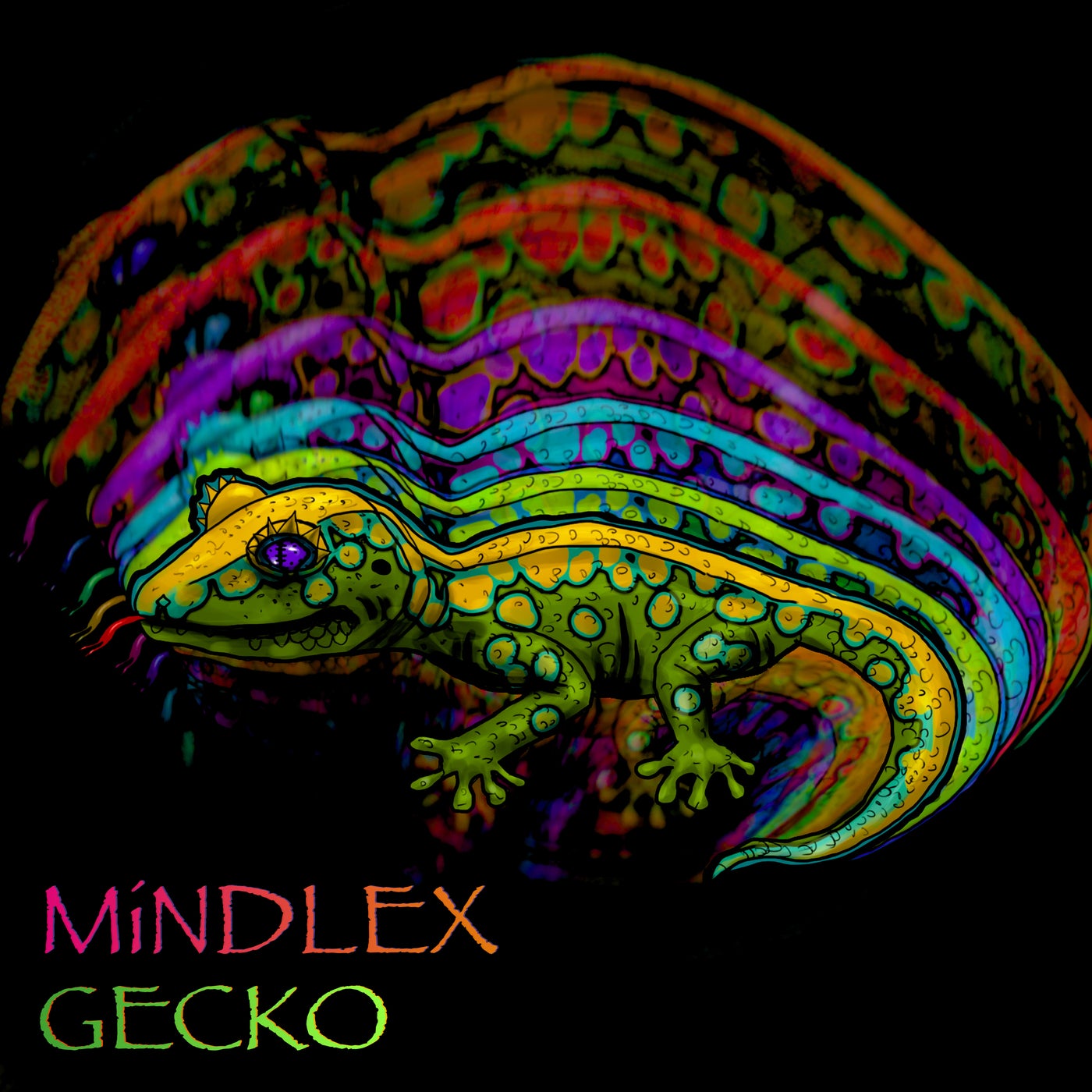 Gecko