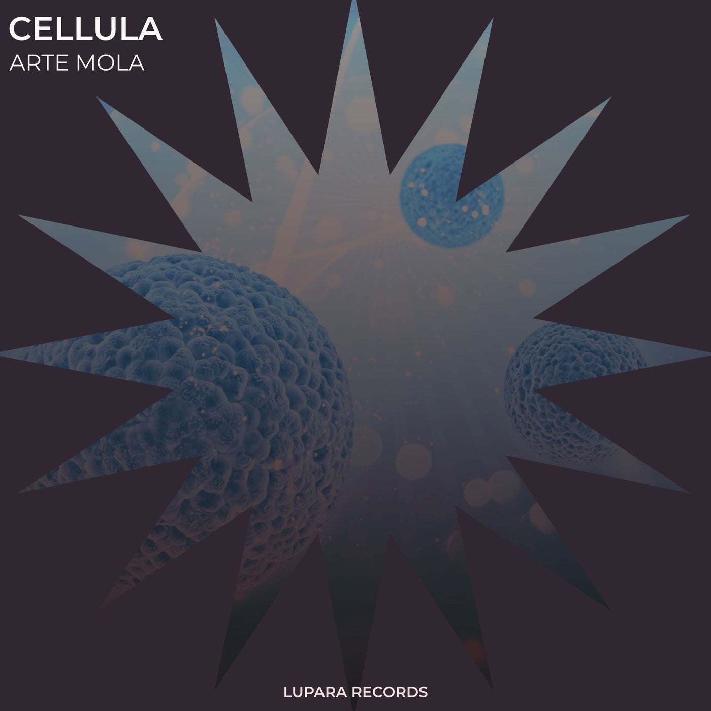 Cellula