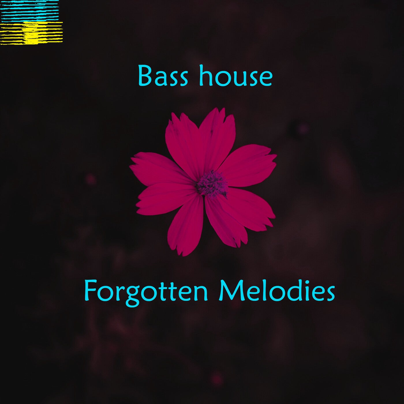 Bass House Forgotten Melodies