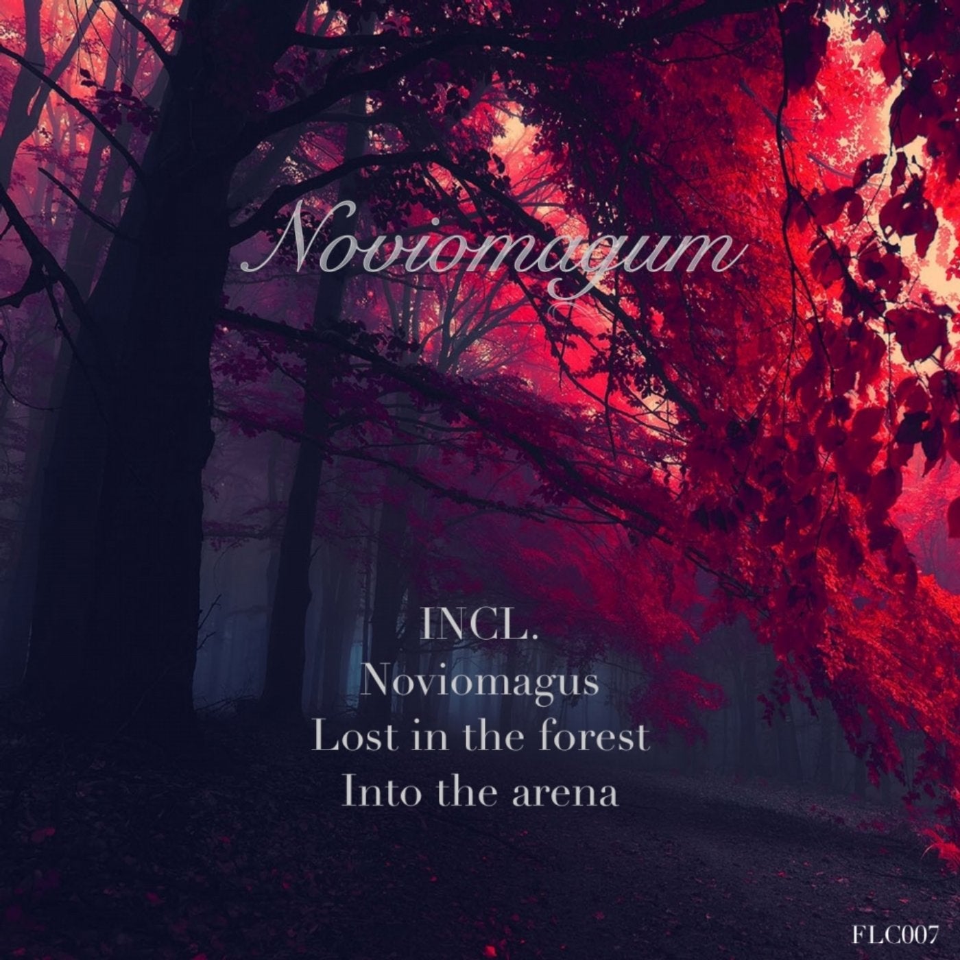 Noviomagum