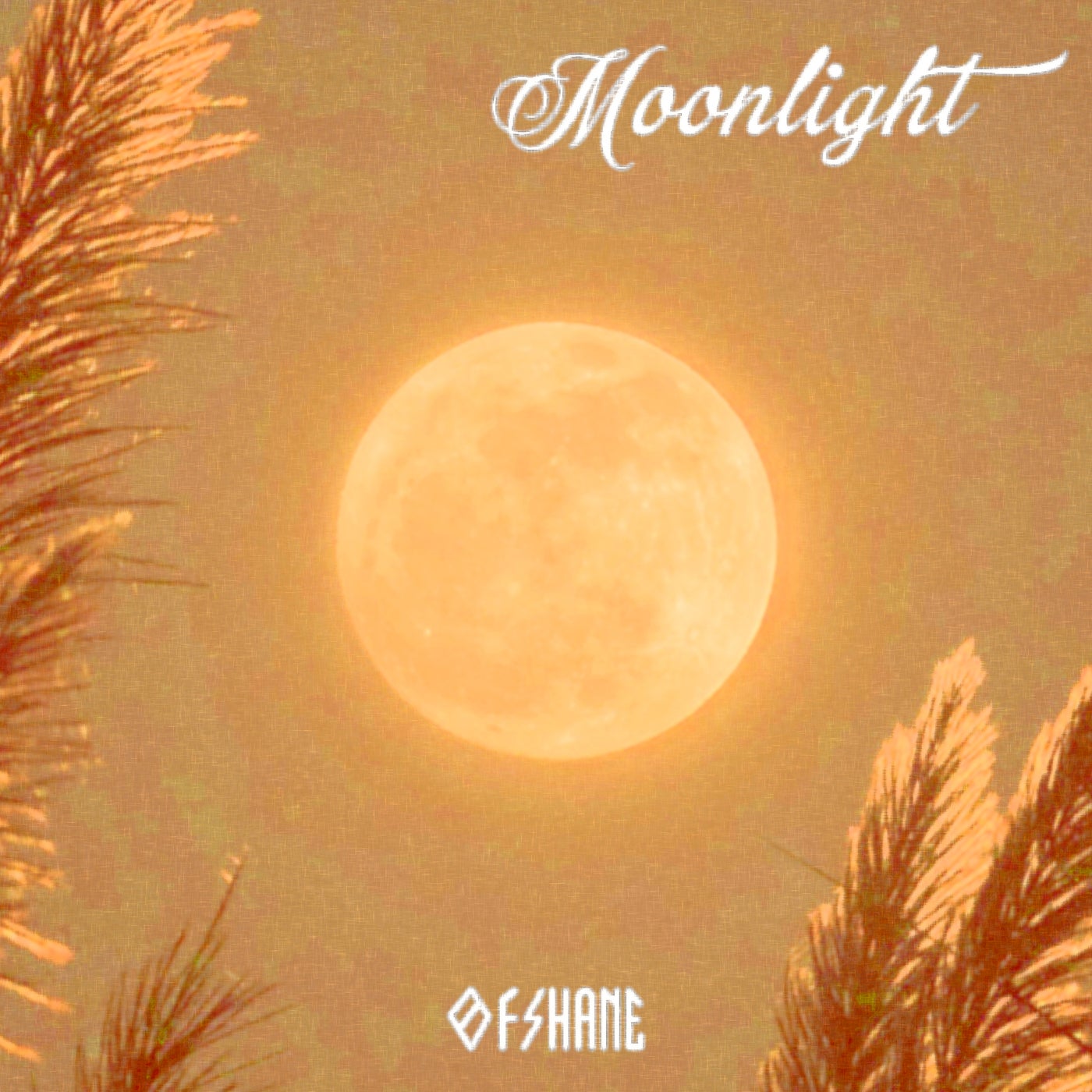 Moonlight