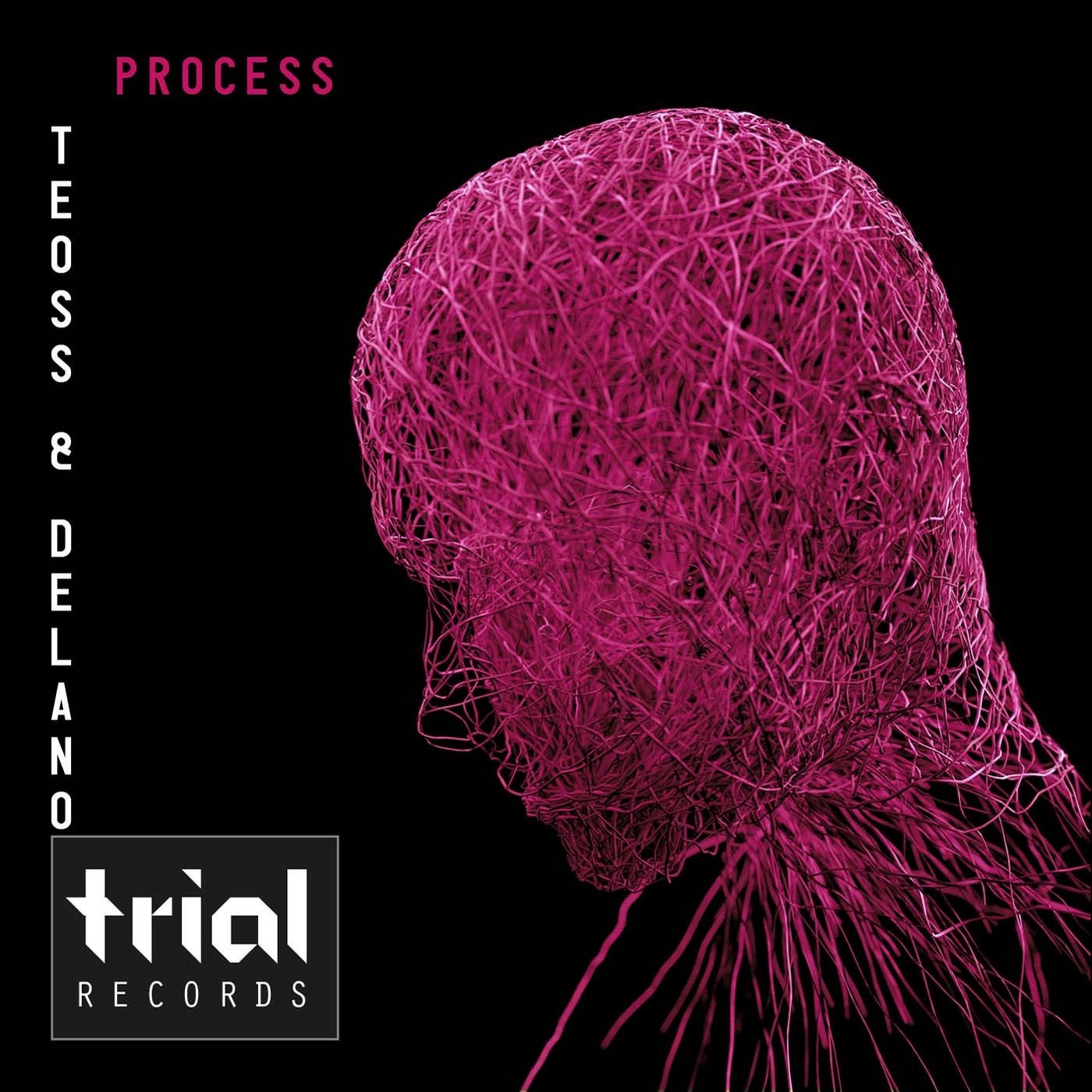 Process