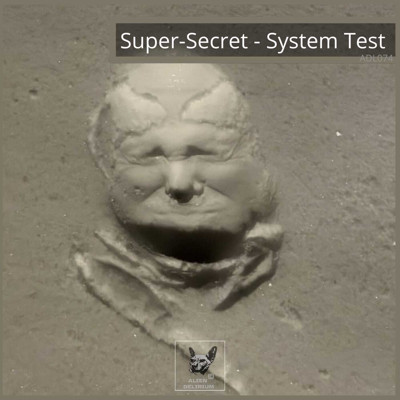 System Test
