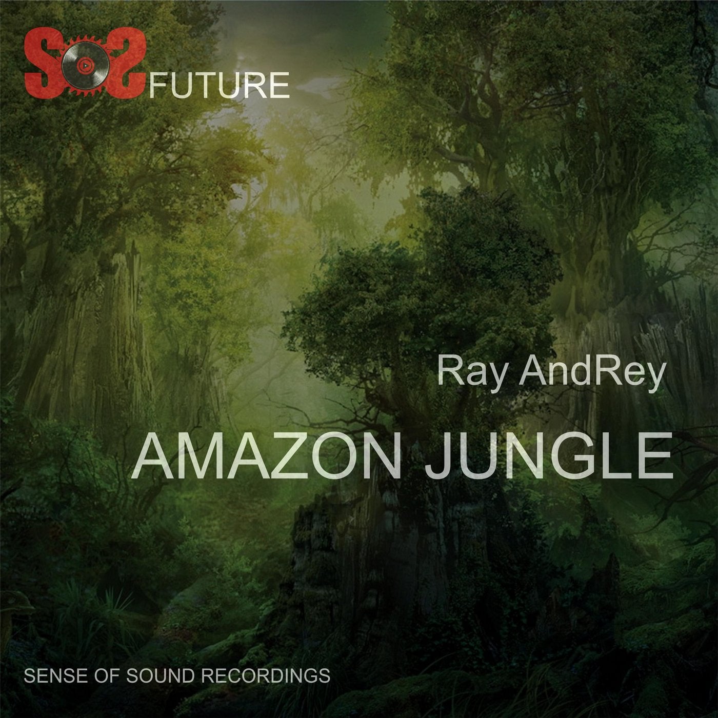 Amazon Jungle