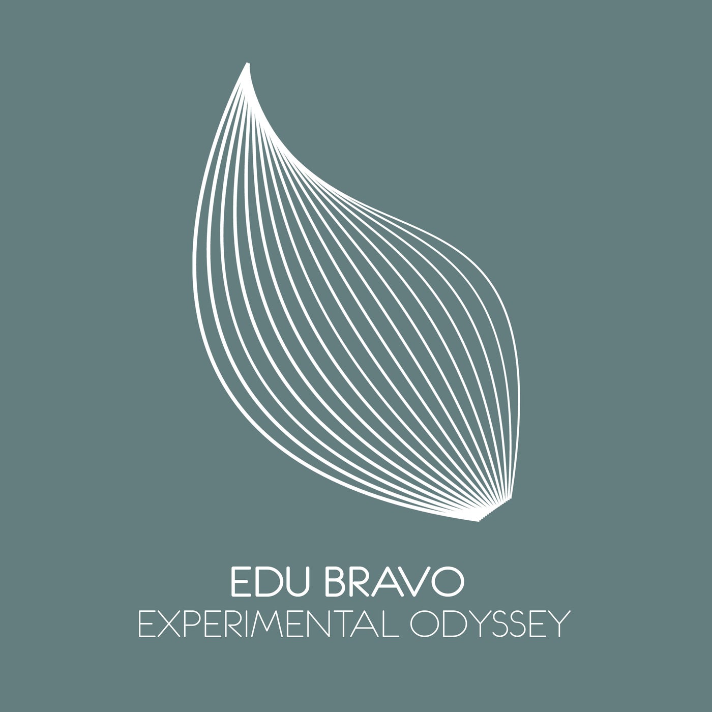 Experimental Odyssey