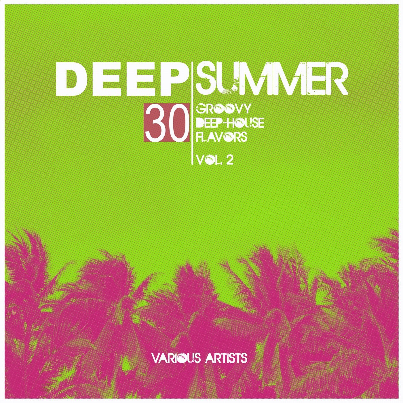 Deep Summer (30 Groovy Deep-House Flavors), Vol. 2