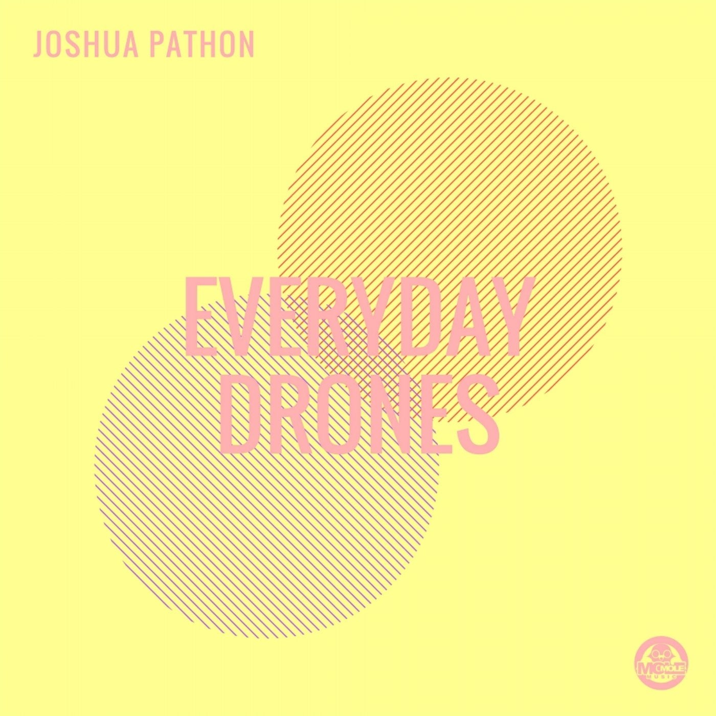 Everyday Drones