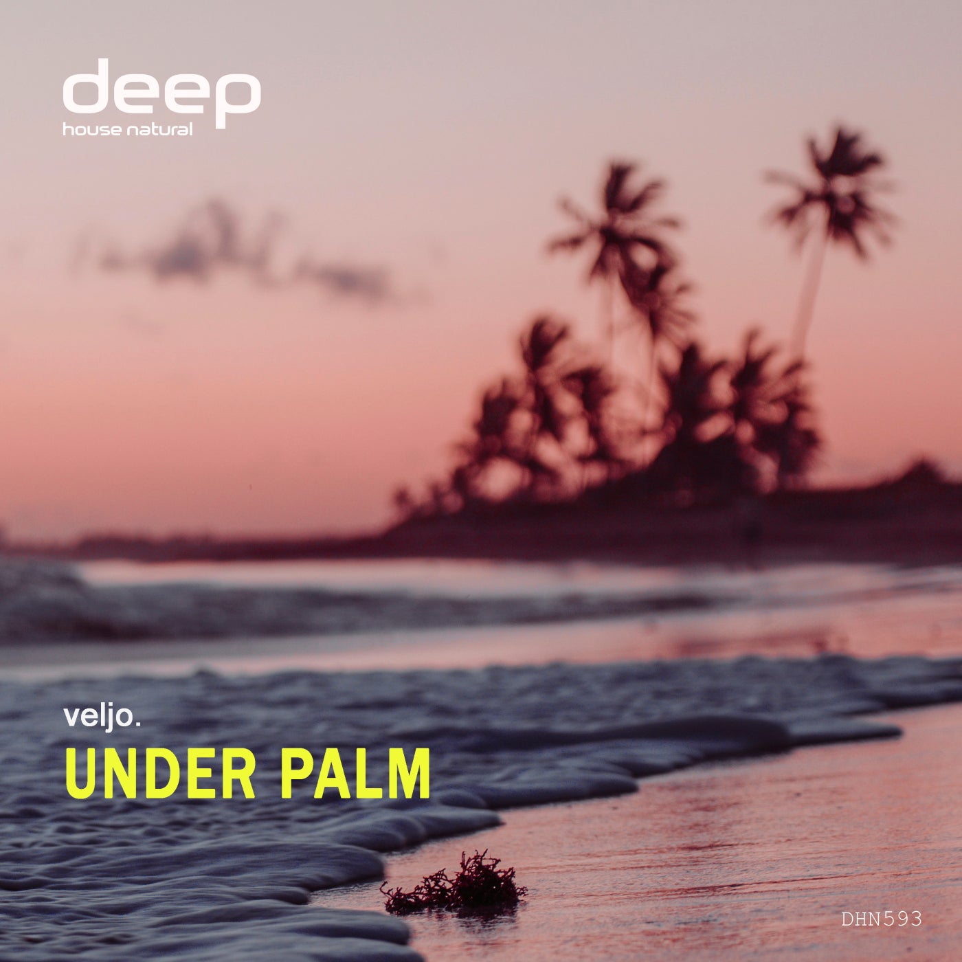 Under Palm